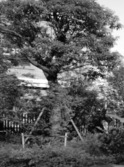 灌南注册公司
